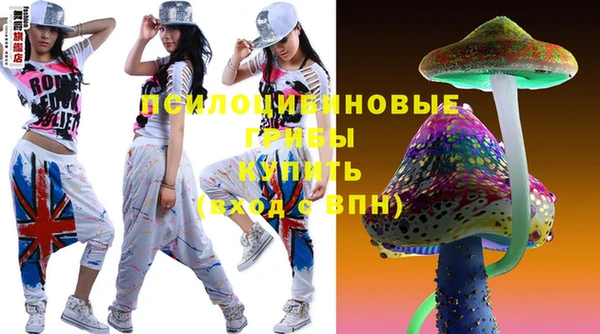 круглые Няндома