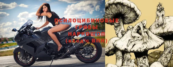 хмурый Новодвинск