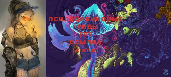 хмурый Новодвинск