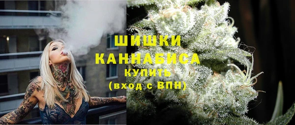 трава Новозыбков