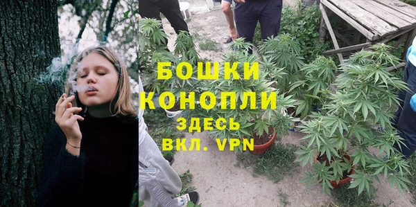 трава Новозыбков
