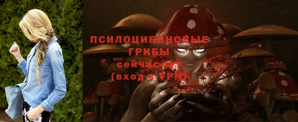 не бодяженный Нязепетровск